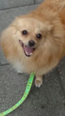 pili_chao's profile picture. 