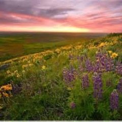 TrevinoMrs's profile picture. 