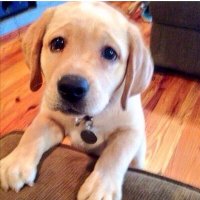 Ali TASDANER ⭐⭐⭐⭐⭐ (@tasdaner) 's Twitter Profile