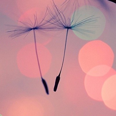 Zayzay_1DBAE's profile picture. Lost my old acc this is my new one