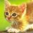 sabpobodol1971's profile image