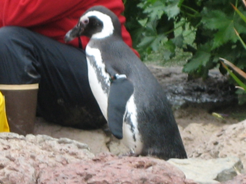 lovemywawas's profile picture. I need to lose weight and I need help