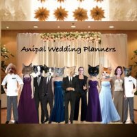 Anipal Events (@anipalevents) 's Twitter Profile Photo Anipal Events (@anipalevents) 's Twitter Profile Photo