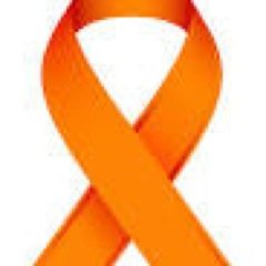 We're dedicated to helping fight leukemia by raising money for research!  ashleymizellorg@gmail.com