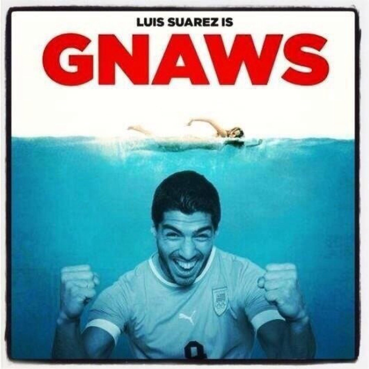 MarcoZgalin's profile picture. 