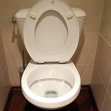 Toilettwitboy's profile picture. Hi im Toilet Boy I have a rare illness that makes me go toilet very often