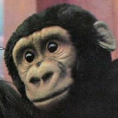 takuyakawahara's profile picture. 美術作家。パフォーマンス、演劇、写真など。TABULAEというスペースを運営していました。 https://t.co/lgc2OMg6b0