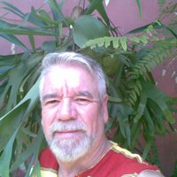 Nelson H Gonzalez C (@gonzale1c) 's Twitter Profile