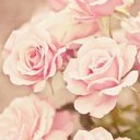 Ozlem Akdogan - @gaziakdgn36 - Twitter