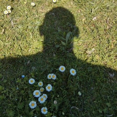 DaniloSinibaldi's profile picture. Giornalista - RaiNews24 - Articolo 21