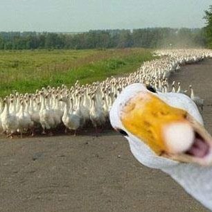 may251980's profile picture. 