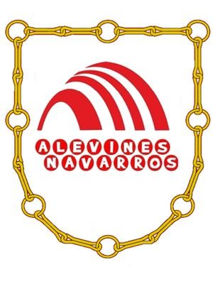 AlevinesNavarra's profile picture. Asociación para el Ocio y el Tiempo Libre de Navarra. Más info en: AlevinesNavarros@gmail.com