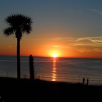 Colin Davie (@colindavie1) 's Twitter Profile Photo