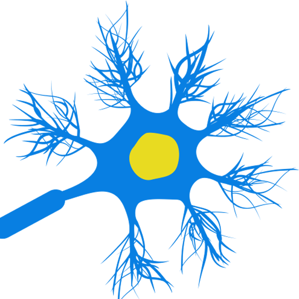 Página oficial do portal Esclerose Múltipla - Conhecendo podemos mais.

Responsável técnico:
Dr. Thiago de F. Junqueira.