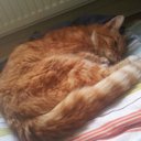 Bradley cottrell - @braddy2112 - Twitter