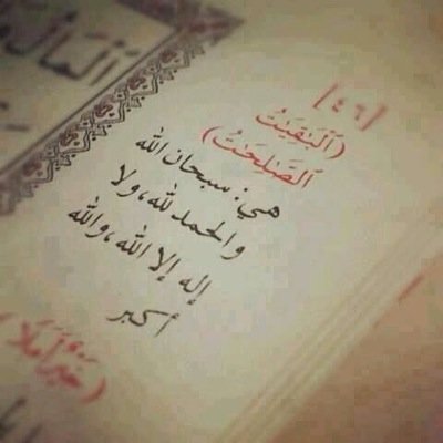 aldamimi's profile picture. أتحب اعداء الحبيب وتدَّعي حبا له !! ما ذاك في الإمكان وكذا تُعادي جاهداً أحبابه أين المحبة ؟! يا أخا الشيطان شرط المحبة أن توافق من تحب على محبته بلا نقصان