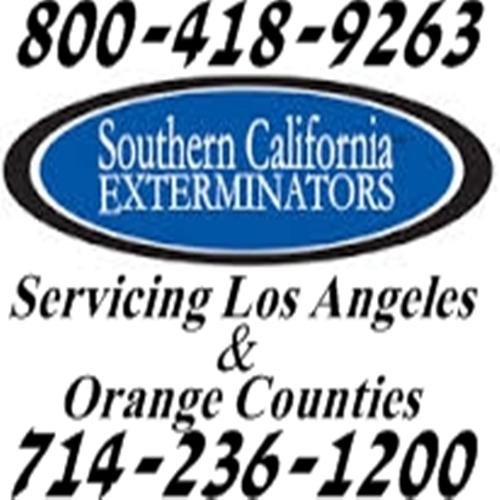 socalextermi's profile picture. We handle Termites, Pest Control, Fumigation, Wood Repairs and Localized Treatments. Call us TODAY 800-418-9263.