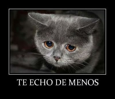 Los q me conocen ya saben como soy.. Y los q no me conocen ya sabrán como soy..... Paciencia.. Soy T.J.a mucha honrra..