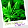 EGPulse's profile picture. News - Music - Art - Humor | Medical | Recreational #NugLife #WayUp #TeamStayLit