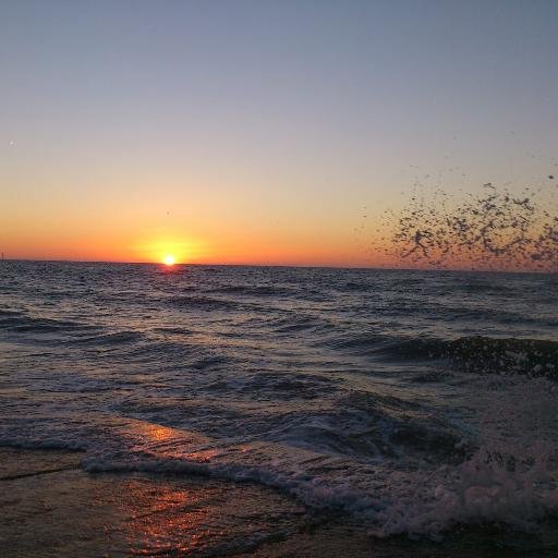 _Gemma____'s profile picture. Employability Adviser, Canterbury