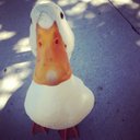 Gabriel Floyd - @TweetFloyd - Twitter