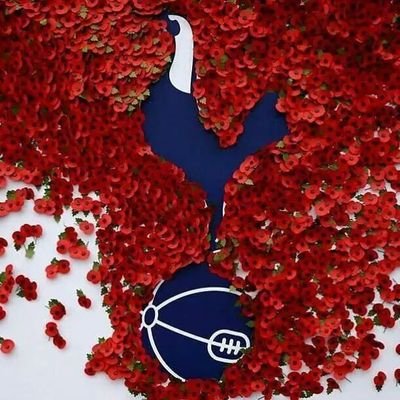 Tottenham is our passion. this page is were you can have your say on all things spurs. Get involved and enjoy. please feel free to give me feedback