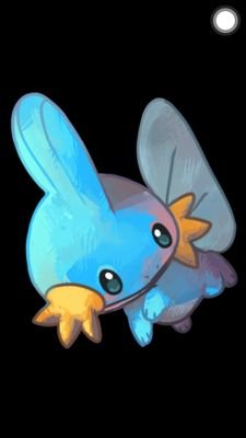 PMudkip7's profile picture. y a día de hoy sigo sin comprender porque tengo una aleta en la cabeza...