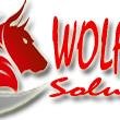 wolfsonsolution's profile picture. 