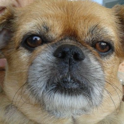 YumerNil's profile picture. 