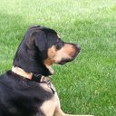 Scott Rouzer - @VPMatHub - Twitter