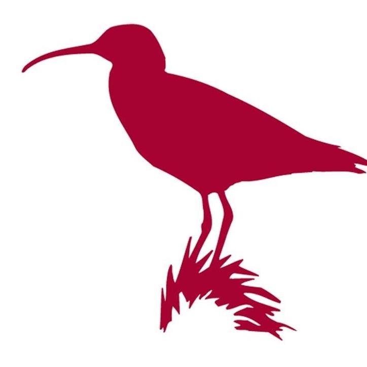 Frjáls félagasamtök (NGO).
Fuglavernd / BirdLife in Iceland is a bird conservation organisation that could not exist without its supporters and members (1300)