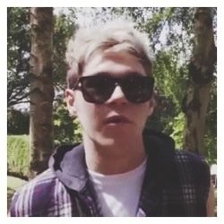 ask for a follow back on @twerkteamhoran
