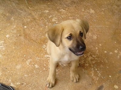 santosawilda92's profile picture. 