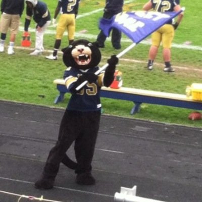 The official mascot of the Sweet Home Panthers