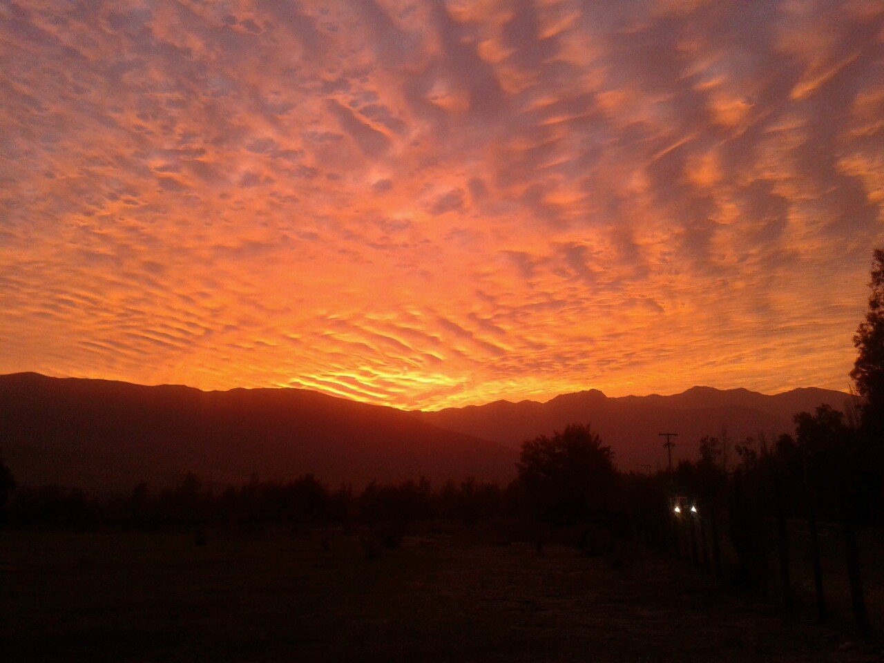 ltorreslillo's profile picture. 