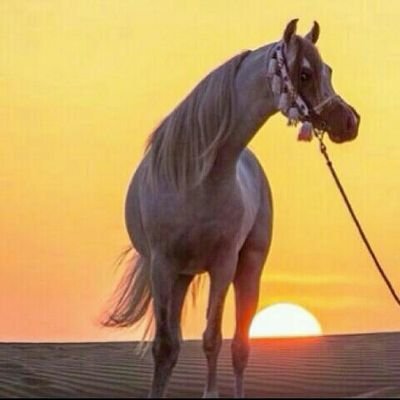 ‏‏اللهم صلي على محمد عدد ماذكره الذاكرون وصلي علي محمد عدد ماغفلن عنه الغافلون                           ('تابعني اتابعك')