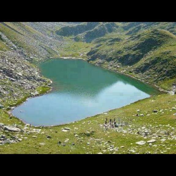 ertugrulkosecan's profile picture. 