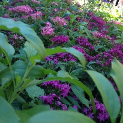 JmpbarryMary's profile picture. 