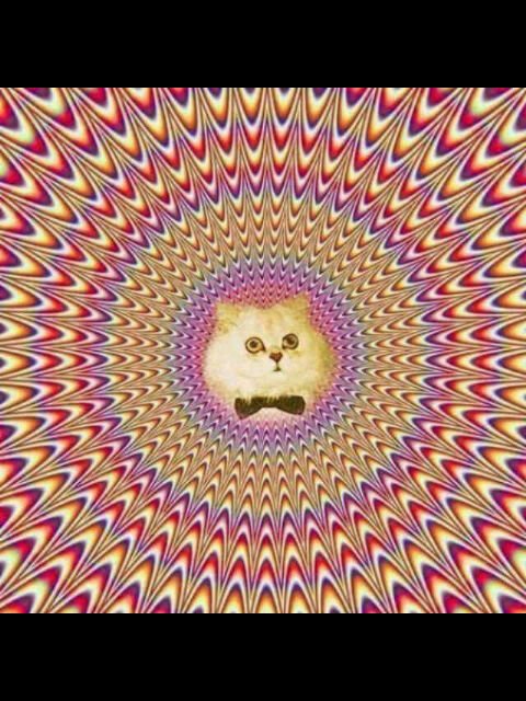 mercedes_08402's profile picture. AMO A VENEZUELA.AMO A MI CRIStO PARA ADELANTE PRESIDENTE MADURO..