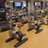 EquipYourGym's profile image
