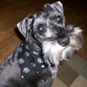 Judy Farmer - @jcfarmer2 - Twitter