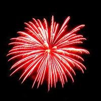 TestDev07736016's profile picture. 