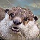 Hey just made this! how are you. My friend has a youtube account https://t.co/jMOp7RGkP4 check it out