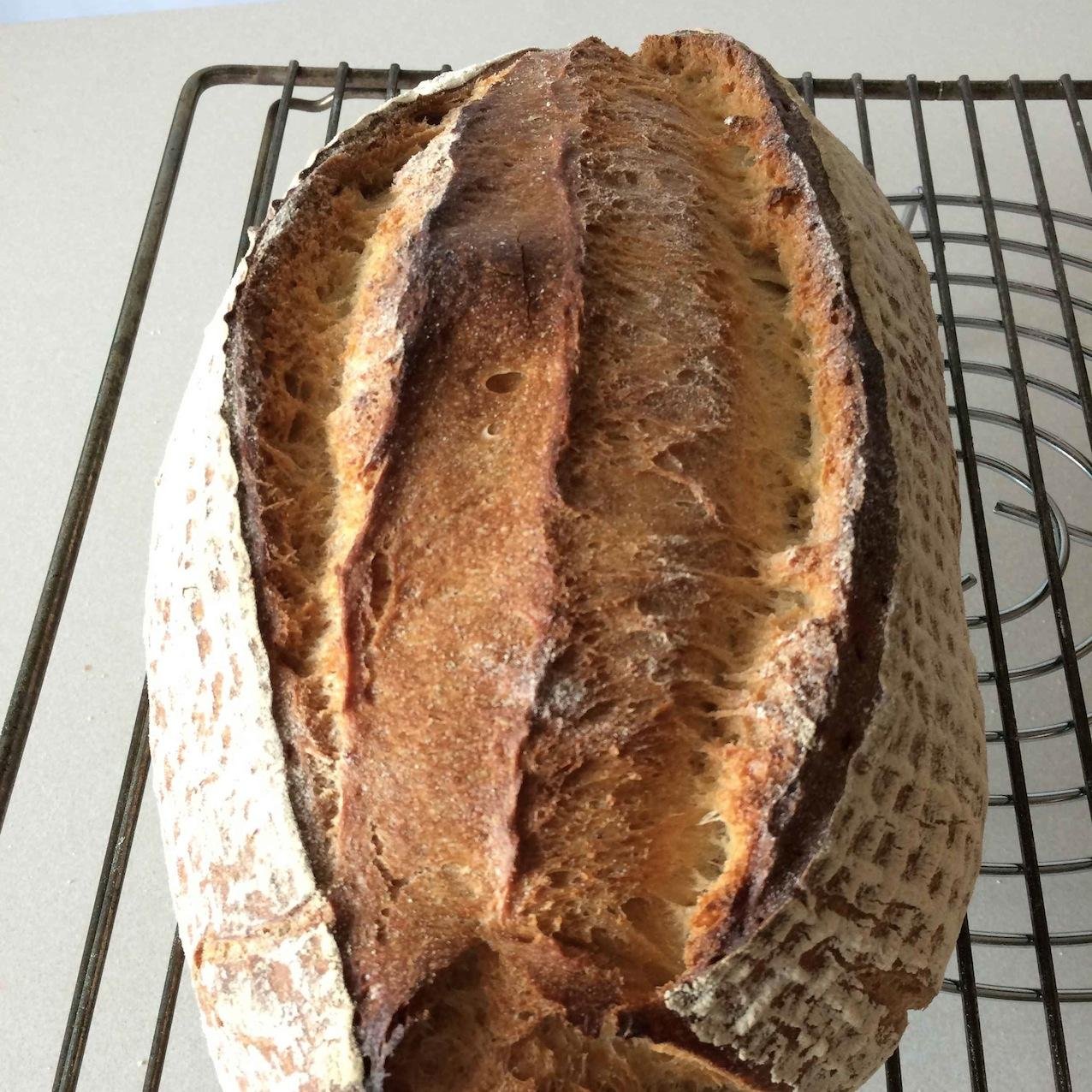 pandeverdad's profile picture. Me encanta el pan, desde que se me ocurrio hacerlo, no compro, por lo menos no compro mal pan. El bueno siempre tiene cabida en mi vida