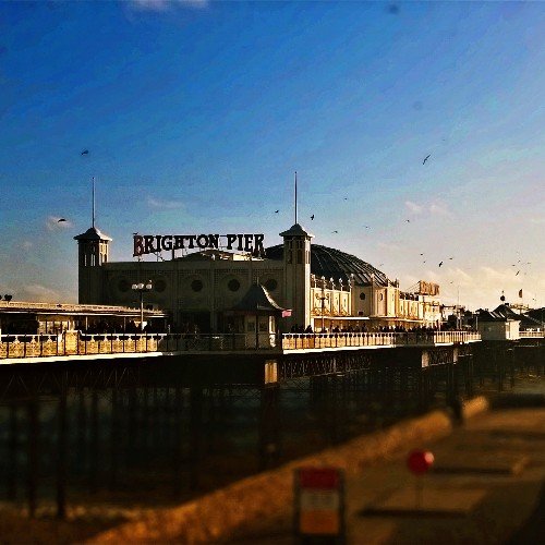 pipcoe's profile picture. 