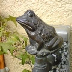 Animal_Univers's profile picture. All beautiful things in this world.