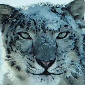 assy_24's profile picture. 情報収集用アカウント