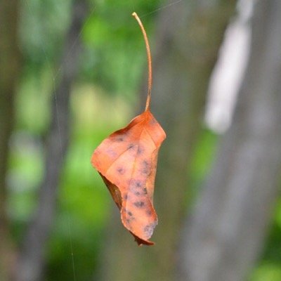 GregHayhoe's profile picture. Be amazing everyday!!