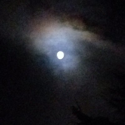 SNicGiobuin's profile picture. 