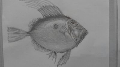 brianmaison's profile picture. 